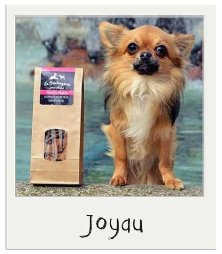 Joyau avec nos Mini friandises pour chiens sans grains